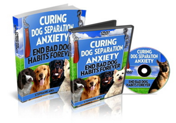 Product picture Curing Dog Separation Anxiety (PLR) 